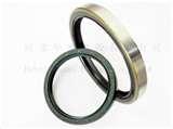 photos of Engine Oil Seal