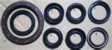 photos of Engine Oil Seals