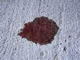 photos of What Engine Oil photos of What Engine Oil